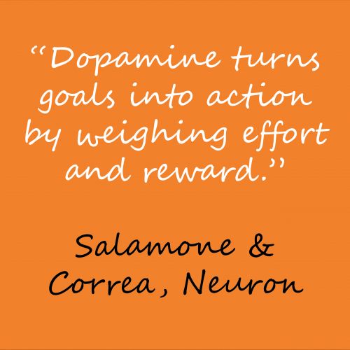 Mental Fitness Mondays: Motivation Part 2