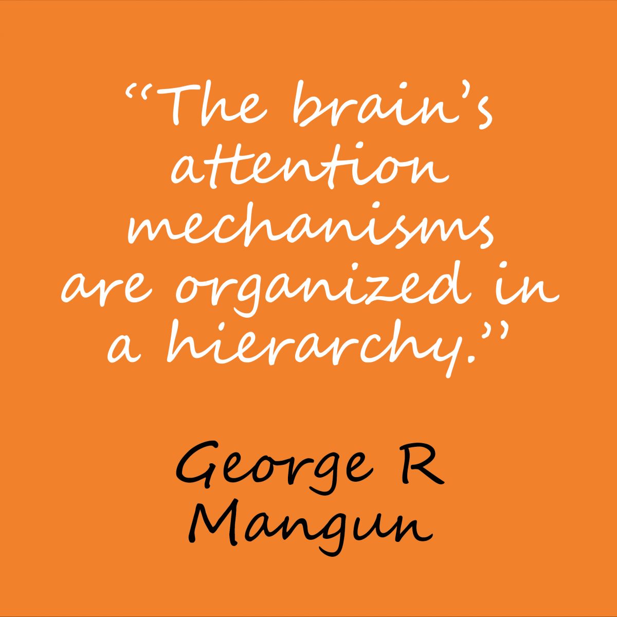Mental Fitness Mondays: How Our Brains Focus What happens in the brain when we try to focus?