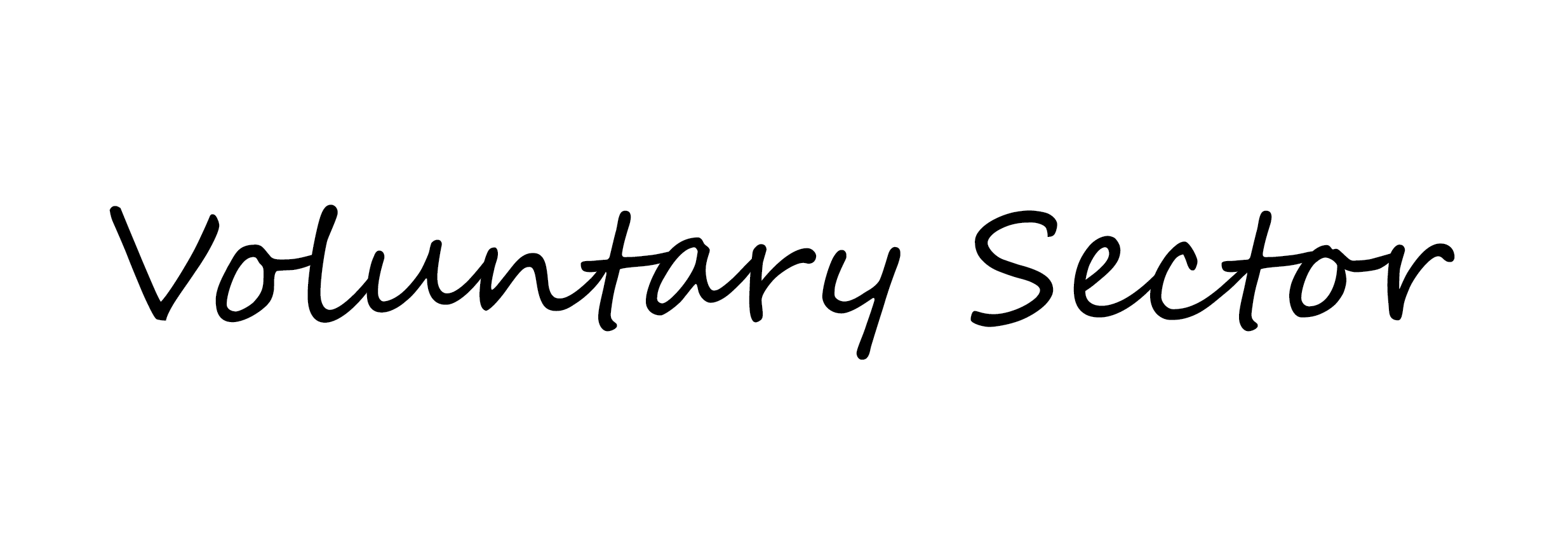 voluntary sector  voluntary-sector